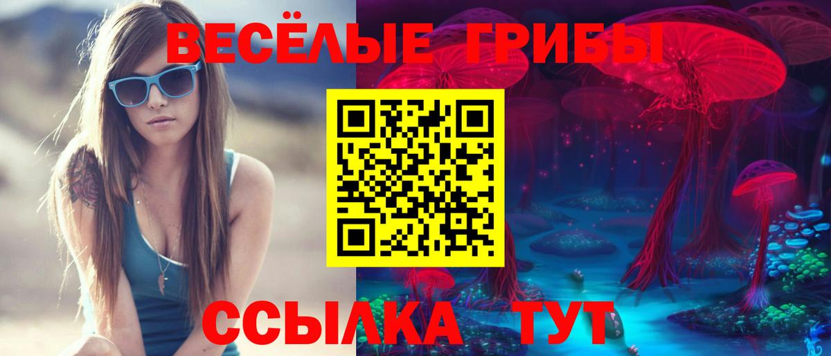 Псилоцибиновые грибы ЛСД Партизанск